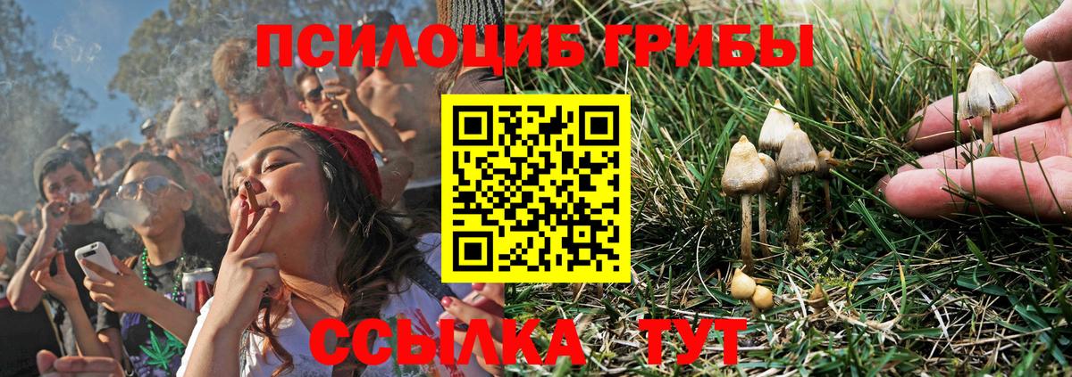 Галлюциногенные грибы мицелий Югорск