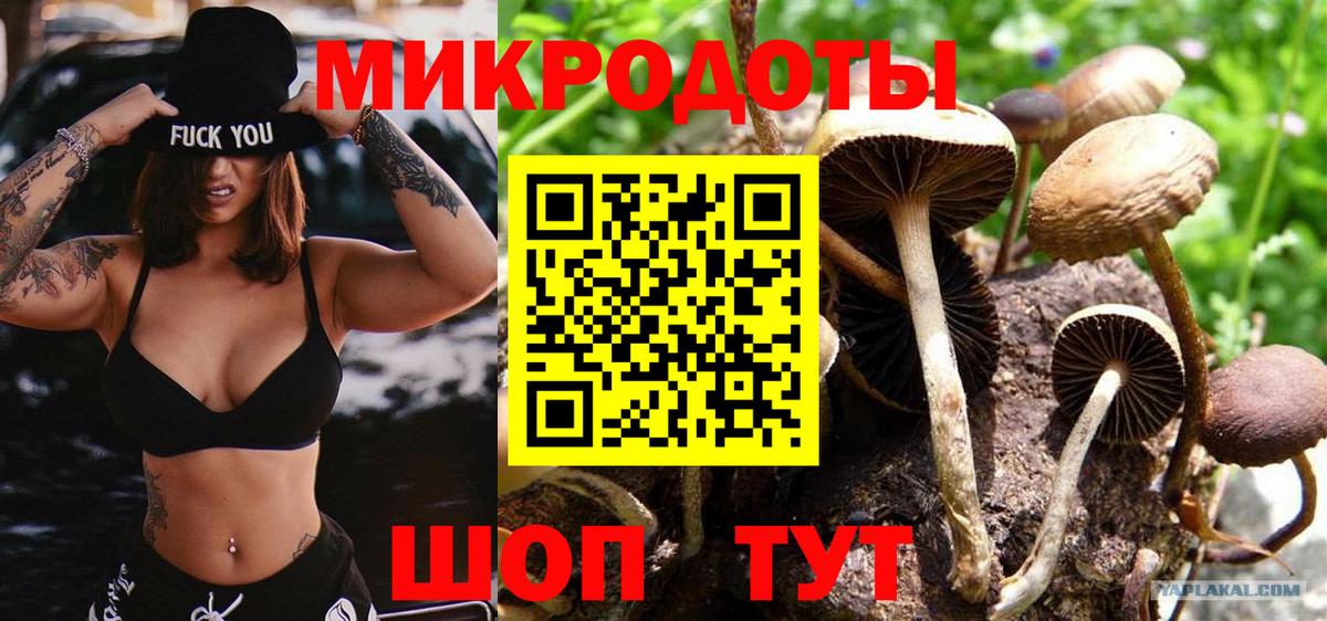 цены наркотик  Галлюциногенные грибы Cubensis  Вход с VPN  Галлюциногенные грибы Psilocybine cubensis  Югорск 